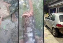 Jovem de Itabirito passa 3h escondido em buraco ao ser emboscado e ter carro roubado nos Coelhos Jovem de Itabirito passa 3h escondido em buraco ao ser emboscado e ter carro roubado nos Coelhos