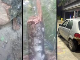 Jovem de Itabirito passa 3h escondido em buraco ao ser emboscado e ter carro roubado nos Coelhos Jovem de Itabirito passa 3h escondido em buraco ao ser emboscado e ter carro roubado nos Coelhos
