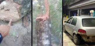Jovem de Itabirito passa 3h escondido em buraco ao ser emboscado e ter carro roubado nos Coelhos Jovem de Itabirito passa 3h escondido em buraco ao ser emboscado e ter carro roubado nos Coelhos