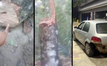 Jovem de Itabirito passa 3h escondido em buraco ao ser emboscado e ter carro roubado nos Coelhos Jovem de Itabirito passa 3h escondido em buraco ao ser emboscado e ter carro roubado nos Coelhos