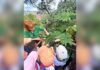 Itabirito: alunos da Escola Guilherme Hallais França vivenciam atividade ambiental em Ouro Preto Itabirito: alunos da Escola Guilherme Hallais França vivenciam atividade ambiental em Ouro Preto