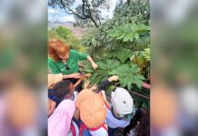 Itabirito: alunos da Escola Guilherme Hallais França vivenciam atividade ambiental em Ouro Preto Itabirito: alunos da Escola Guilherme Hallais França vivenciam atividade ambiental em Ouro Preto