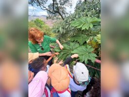 Itabirito: alunos da Escola Guilherme Hallais França vivenciam atividade ambiental em Ouro Preto Itabirito: alunos da Escola Guilherme Hallais França vivenciam atividade ambiental em Ouro Preto
