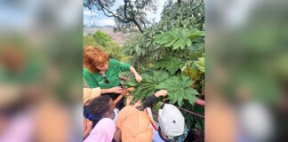Itabirito: alunos da Escola Guilherme Hallais França vivenciam atividade ambiental em Ouro Preto Itabirito: alunos da Escola Guilherme Hallais França vivenciam atividade ambiental em Ouro Preto