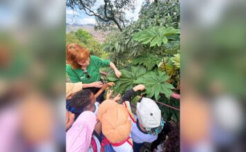 Itabirito: alunos da Escola Guilherme Hallais França vivenciam atividade ambiental em Ouro Preto Itabirito: alunos da Escola Guilherme Hallais França vivenciam atividade ambiental em Ouro Preto