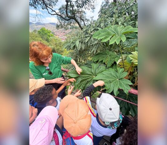 Itabirito: alunos da Escola Guilherme Hallais França vivenciam atividade ambiental em Ouro Preto Itabirito: alunos da Escola Guilherme Hallais França vivenciam atividade ambiental em Ouro Preto