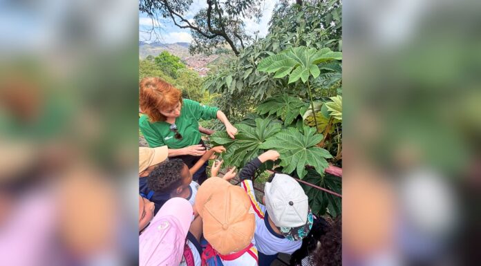 Itabirito: alunos da Escola Guilherme Hallais França vivenciam atividade ambiental em Ouro Preto Itabirito: alunos da Escola Guilherme Hallais França vivenciam atividade ambiental em Ouro Preto