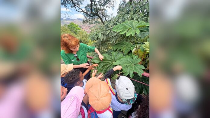 Itabirito: alunos da Escola Guilherme Hallais França vivenciam atividade ambiental em Ouro Preto Itabirito: alunos da Escola Guilherme Hallais França vivenciam atividade ambiental em Ouro Preto
