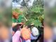 Itabirito: alunos da Escola Guilherme Hallais França vivenciam atividade ambiental em Ouro Preto Itabirito: alunos da Escola Guilherme Hallais França vivenciam atividade ambiental em Ouro Preto