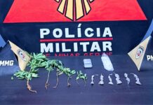 Mariana: após denúncia, homem é preso com buchas e pés de maconha no Santa Clara; VEJA VÍDEO Mariana: após denúncia, homem é preso com buchas e pés de maconha no Santa Clara