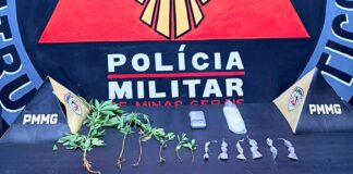 Mariana: após denúncia, homem é preso com buchas e pés de maconha no Santa Clara; VEJA VÍDEO Mariana: após denúncia, homem é preso com buchas e pés de maconha no Santa Clara