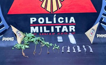 Mariana: após denúncia, homem é preso com buchas e pés de maconha no Santa Clara; VEJA VÍDEO Mariana: após denúncia, homem é preso com buchas e pés de maconha no Santa Clara
