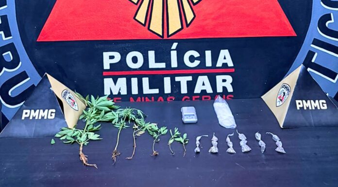 Mariana: após denúncia, homem é preso com buchas e pés de maconha no Santa Clara; VEJA VÍDEO Mariana: após denúncia, homem é preso com buchas e pés de maconha no Santa Clara