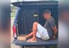 Itabirito: próximo ao Paraki, GCM prende homem com mandado de prisão em aberto Itabirito: próximo ao Paraki, GCM prende homem com mandado em aberto