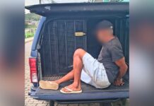 Itabirito: próximo ao Paraki, GCM prende homem com mandado de prisão em aberto Itabirito: próximo ao Paraki, GCM prende homem com mandado em aberto