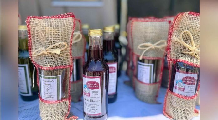 Ouro Preto: Festa da Jabuticaba abre inscrições gratuitas para expositores em Cachoeira do Campo Ouro Preto: Festa da Jabuticaba abre inscrições gratuitas para expositores em Cachoeira do Campo