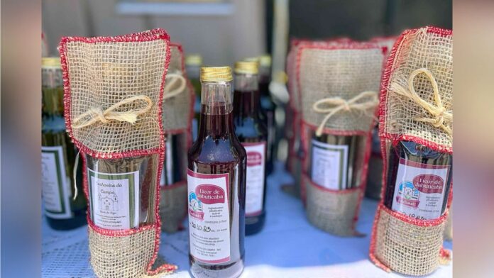 Ouro Preto: Festa da Jabuticaba abre inscrições gratuitas para expositores em Cachoeira do Campo Ouro Preto: Festa da Jabuticaba abre inscrições gratuitas para expositores em Cachoeira do Campo