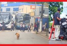 Itabirito: sem CNH e usando uma só mão, motoqueiro ziguezagueia entre alunos da Natália e é pego pela GCM Itabirito: sem CNH e usando uma só mão, motoqueiro ziguezagueia entre alunos da Natália e é pego pela GCM