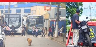 Itabirito: sem CNH e usando uma só mão, motoqueiro ziguezagueia entre alunos da Natália e é pego pela GCM Itabirito: sem CNH e usando uma só mão, motoqueiro ziguezagueia entre alunos da Natália e é pego pela GCM