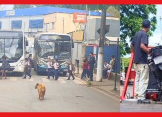 Itabirito: sem CNH e usando uma só mão, motoqueiro ziguezagueia entre alunos da Natália e é pego pela GCM Itabirito: sem CNH e usando uma só mão, motoqueiro ziguezagueia entre alunos da Natália e é pego pela GCM