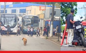 Itabirito: sem CNH e usando uma só mão, motoqueiro ziguezagueia entre alunos da Natália e é pego pela GCM Itabirito: sem CNH e usando uma só mão, motoqueiro ziguezagueia entre alunos da Natália e é pego pela GCM