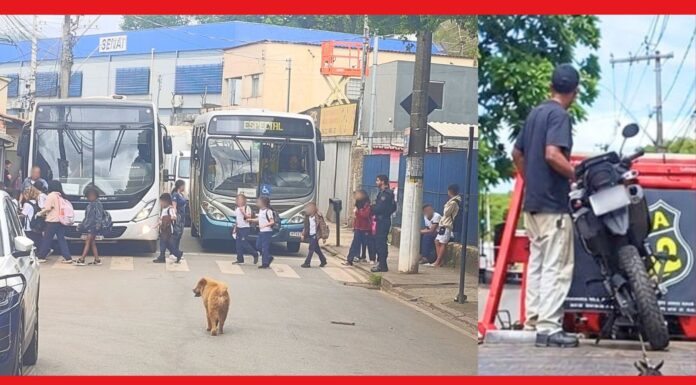 Itabirito: sem CNH e usando uma só mão, motoqueiro ziguezagueia entre alunos da Natália e é pego pela GCM Itabirito: sem CNH e usando uma só mão, motoqueiro ziguezagueia entre alunos da Natália e é pego pela GCM