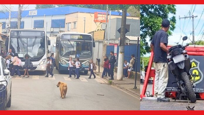 Itabirito: sem CNH e usando uma só mão, motoqueiro ziguezagueia entre alunos da Natália e é pego pela GCM Itabirito: sem CNH e usando uma só mão, motoqueiro ziguezagueia entre alunos da Natália e é pego pela GCM