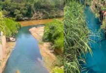 Itabirito: pela 2ª vez em 13 dias, águas do Córrego Criminoso mudam de cor; desta vez, azul-turquesa Itabirito: pela 2ª vez em 13 dias, águas do Córrego Criminoso mudam de cor; desta vez, azul-turquesa