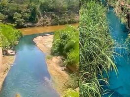 Itabirito: pela 2ª vez em 13 dias, águas do Córrego Criminoso mudam de cor; desta vez, azul-turquesa Itabirito: pela 2ª vez em 13 dias, águas do Córrego Criminoso mudam de cor; desta vez, azul-turquesa