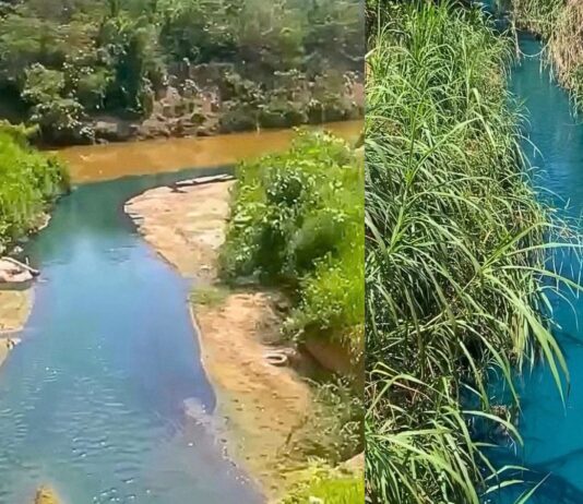 Itabirito: pela 2ª vez em 13 dias, águas do Córrego Criminoso mudam de cor; desta vez, azul-turquesa Itabirito: pela 2ª vez em 13 dias, águas do Córrego Criminoso mudam de cor; desta vez, azul-turquesa