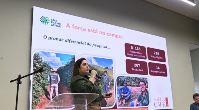 Safra de café em Minas Gerais deve alcançar 33,4 milhões de sacas em 2026
