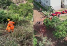 MG: crianças saem para colher mangas, se perdem em mata e são resgatadas pelos bombeiros; VÍDEO MG: crianças saem para colher mangas, se perdem em mata e são resgatadas pelos bombeiros