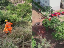 MG: crianças saem para colher mangas, se perdem em mata e são resgatadas pelos bombeiros; VÍDEO MG: crianças saem para colher mangas, se perdem em mata e são resgatadas pelos bombeiros