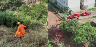 MG: crianças saem para colher mangas, se perdem em mata e são resgatadas pelos bombeiros; VÍDEO MG: crianças saem para colher mangas, se perdem em mata e são resgatadas pelos bombeiros