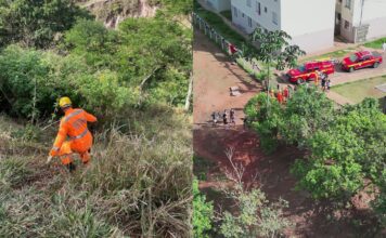 MG: crianças saem para colher mangas, se perdem em mata e são resgatadas pelos bombeiros; VÍDEO MG: crianças saem para colher mangas, se perdem em mata e são resgatadas pelos bombeiros