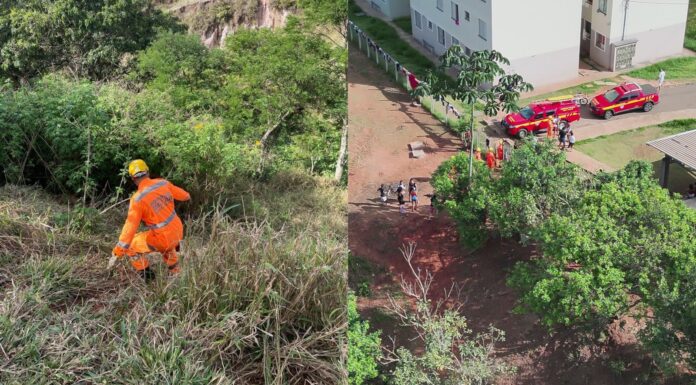 MG: crianças saem para colher mangas, se perdem em mata e são resgatadas pelos bombeiros; VÍDEO MG: crianças saem para colher mangas, se perdem em mata e são resgatadas pelos bombeiros