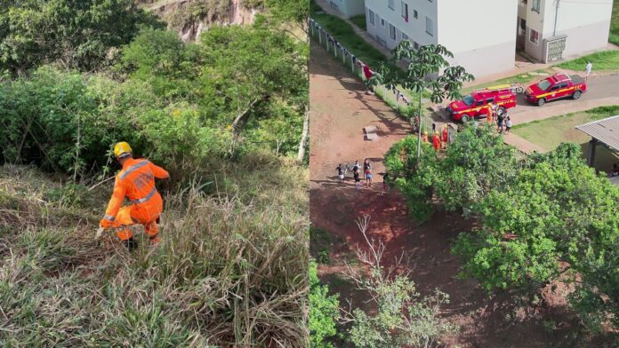 MG: crianças saem para colher mangas, se perdem em mata e são resgatadas pelos bombeiros