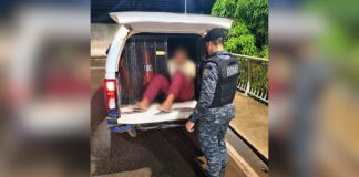 Homem com mandado de prisão em aberto é detido pela GCM em Itabirito Homem com mandado de prisão em aberto é detido pela GCM em Itabirito