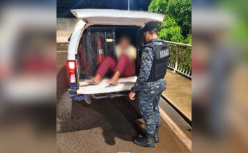 Homem com mandado de prisão em aberto é detido pela GCM em Itabirito Homem com mandado de prisão em aberto é detido pela GCM em Itabirito