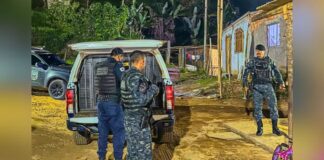 Mariana: gritos de socorro levam GCM a prender homem por agredir a companheira Mariana: gritos de socorro levam GCM a prender homem por agredir a companheira