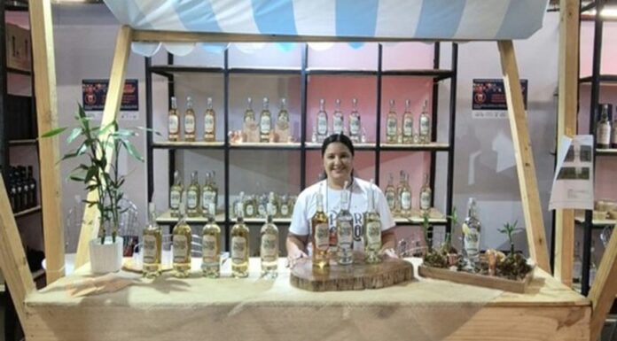 Cachaça de alambique busca conquistar mercado internacional e enfrenta desafios para ampliar exportações